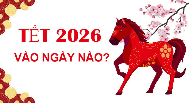 Còn Bao Nhiêu Ngày Nữa Đến Tết 2026? Đếm Ngược Mùa Xuân Đang Tới!